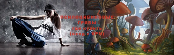 PSILOCYBIN Алексеевка