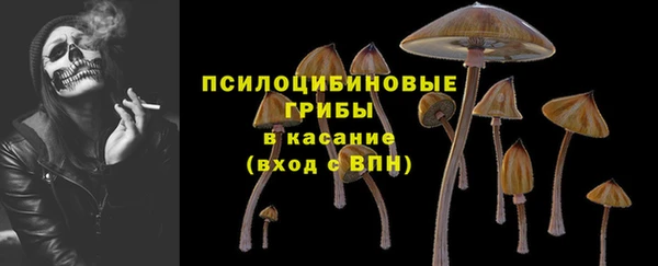 PSILOCYBIN Алексеевка