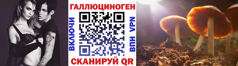 Галлюциногенные грибы GOLDEN TEACHER  MEGA вход  Нижняя Салда 